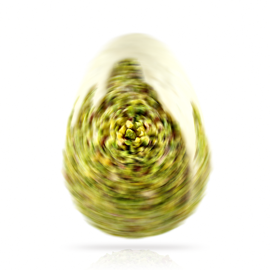 Uovo di pasqua artigianale cioccolato bianco e pistacchi