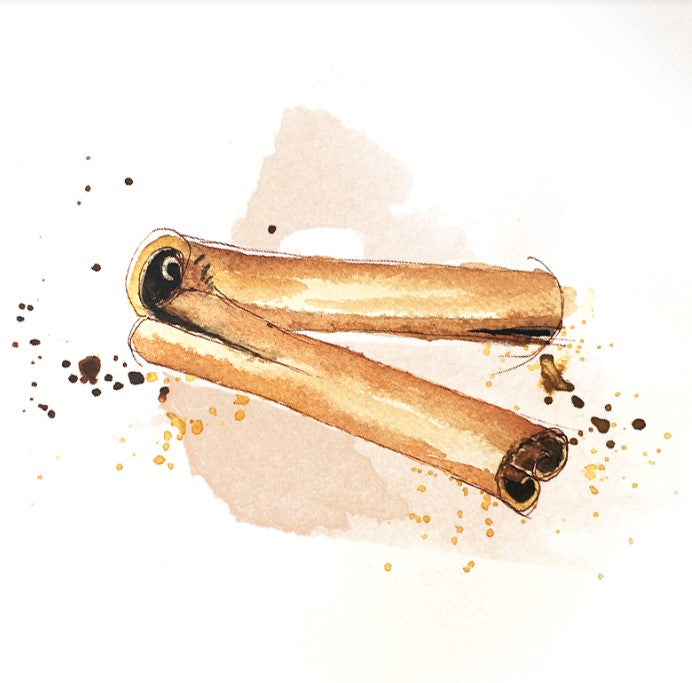 Shockino_Cannella_illustrazione