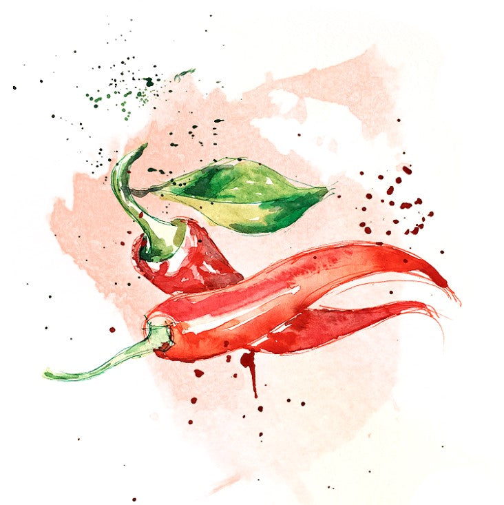 Shockino_Peperoncino_illustrazione